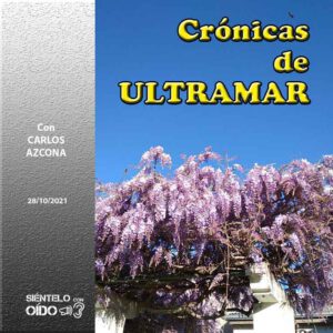CARTEL Cronicas-28-10-21-cuadro