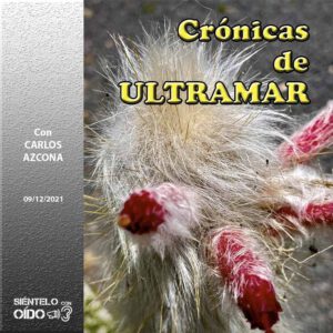 CARTEL Cronicas-89-CUADRO