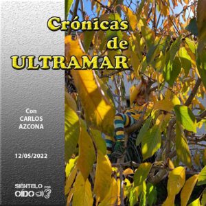 CARTEL Cronicas-99-CUADRO