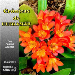 CARTEL Cronicas-103-CUADRO