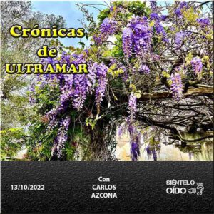 CARTEL Cronicas 104-CUADRO