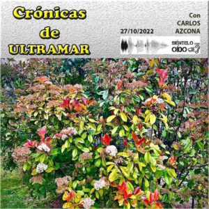 CARTEL Cronicas-105-CUADRO