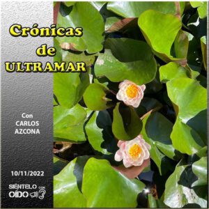 CARTEL Cronicas-106-CUADRO
