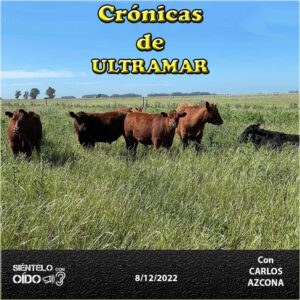 CARTEL Cronicas-108-CUADRO