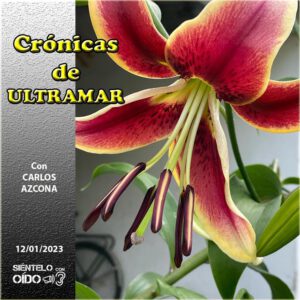 CARTEL Cronicas-110-CUADRO