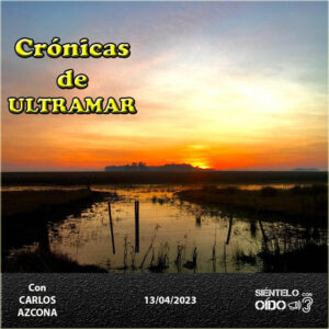CARTEL Cronicas116-CUADRO