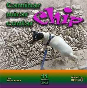 CARTEL CMC-Chip-cuadro