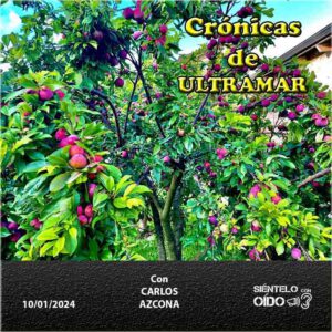 CARTEL Cronicas-129-CUADRO