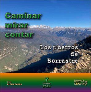 CARTEL CMC-puerros Borrastre-cuadro