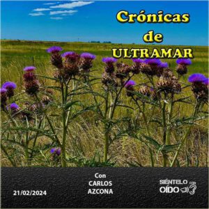 CARTEL Cronicas-132-CUADRO