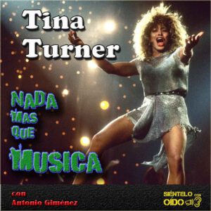 CARTEL NMQM-Tina Turner-cuadro