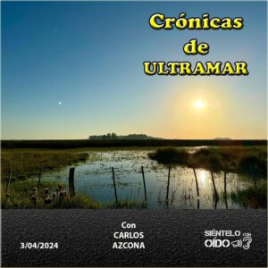 CARTEL Cronicas-135-CUADRO